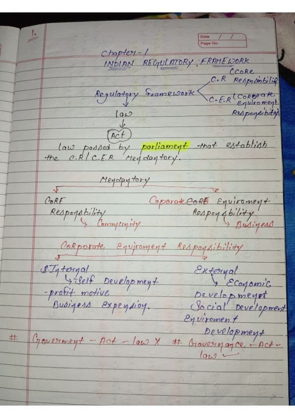 First page of chapter 1 Indian regulatory framework