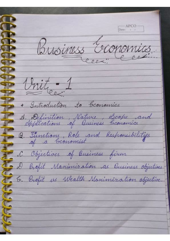 First page of Business economics