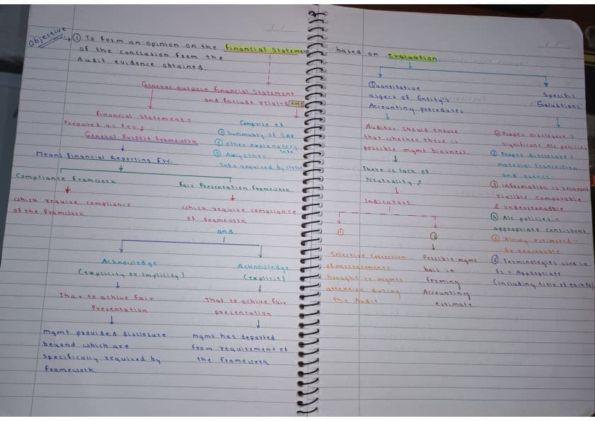 First page of Audit Report Handwritten ColorFull