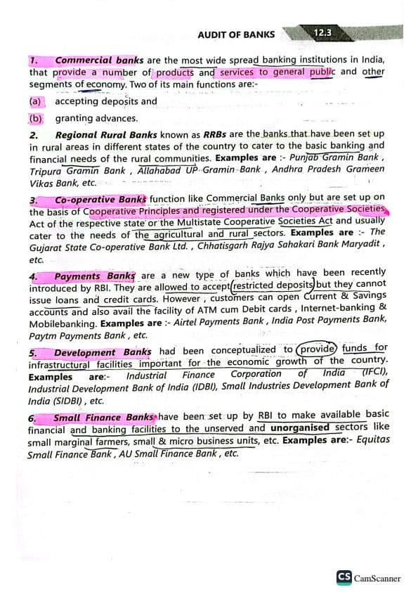 First page of Bank Audit