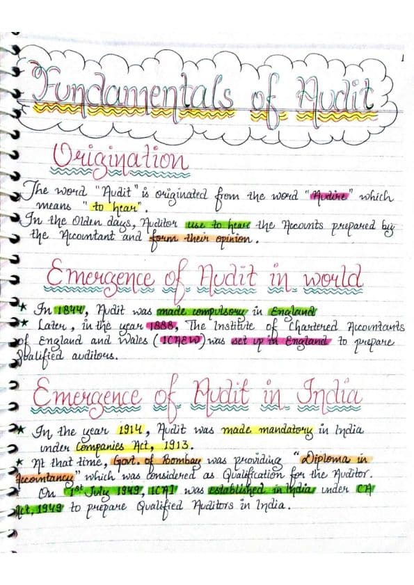 First page of Audit handwritten notes