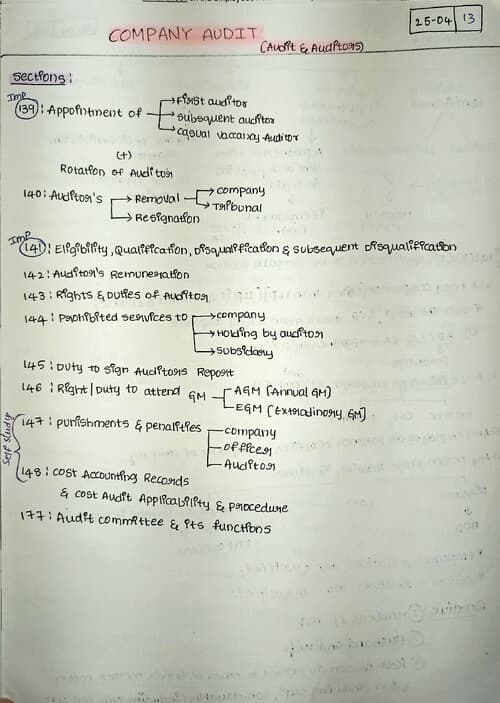 First page of Company audit for ca inter