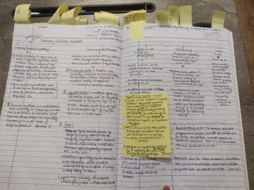 First page of CA audit notes Ch-1 ( NATURE, SCOPE & OBJECTIVE OF AUDIT) SA 200 By Rishabh Jain