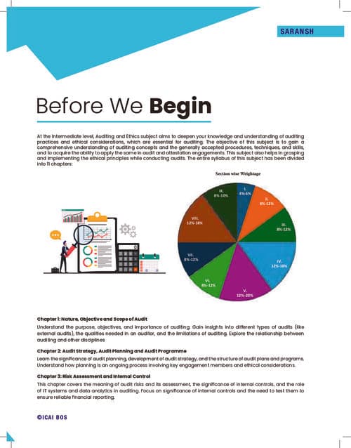 First page of Audit sharansh for last revisions