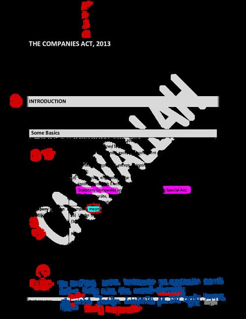 First page of Annoted eBook of companies act 2013 Detailed notes