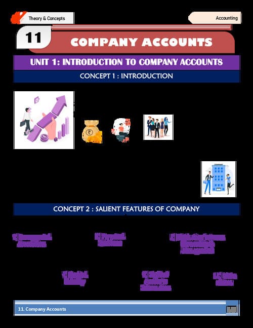 First page of CH - 11 Company Accounts