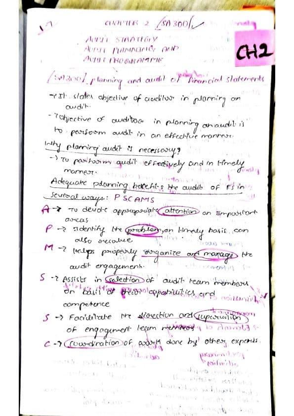 First page of Audit ch 2 detailed notes