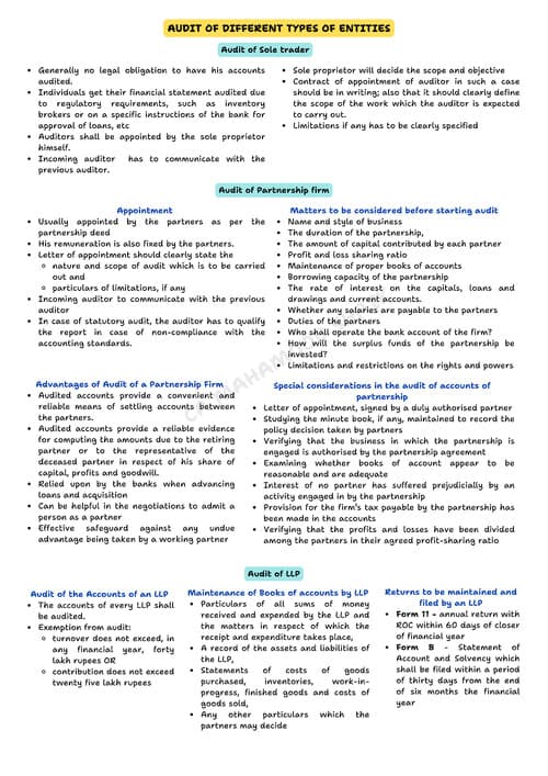 First page of Audit of diff entities notes