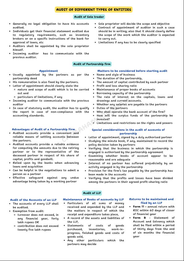 SUMMARY OF AUDIT OF VARIOUS ENTITIES