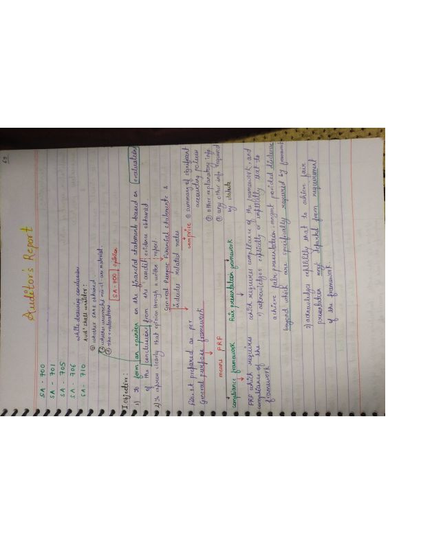 Audit Report + Caro  

HANDWRITTEN NOTES 