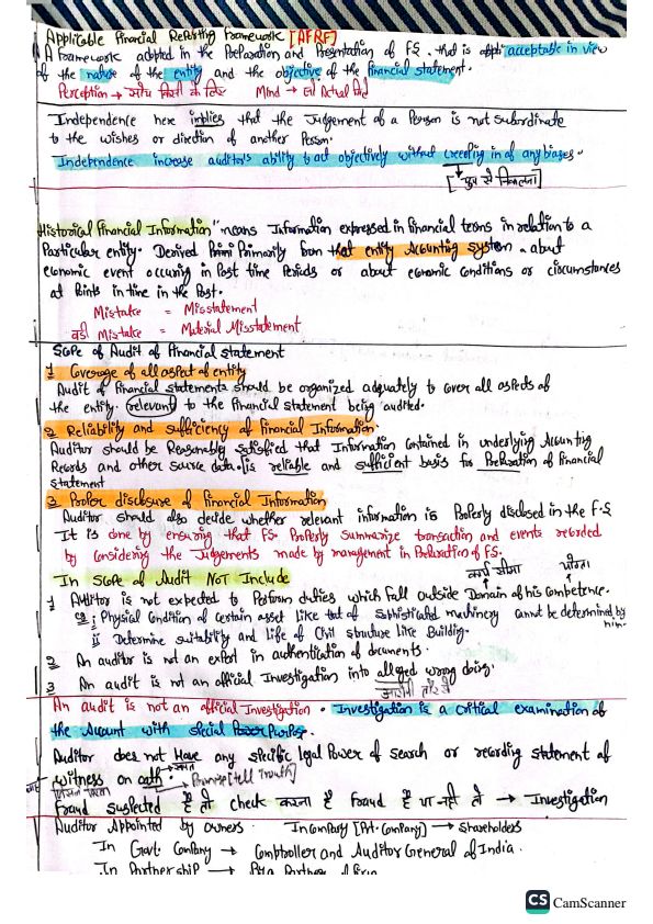 Detailed descriptive handwritten notes 