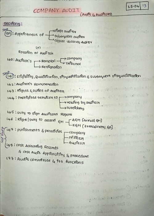 Company audit for ca inter 