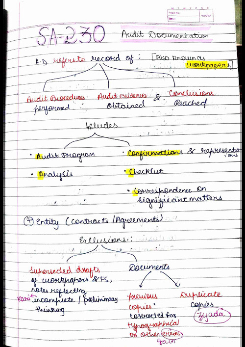 Handwritten notes of SA 230 WITH KEYWORDS HIGHLIGHTED 