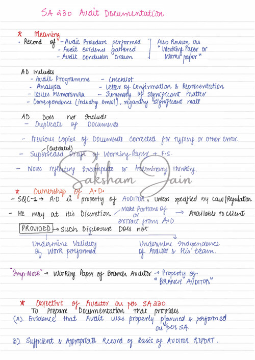 Audit Documentation 
Handwritten Notes - Revision Notes 