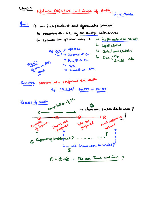 CA INTER AUDIT : CHAP 1 HANDWRITTEN NOTES