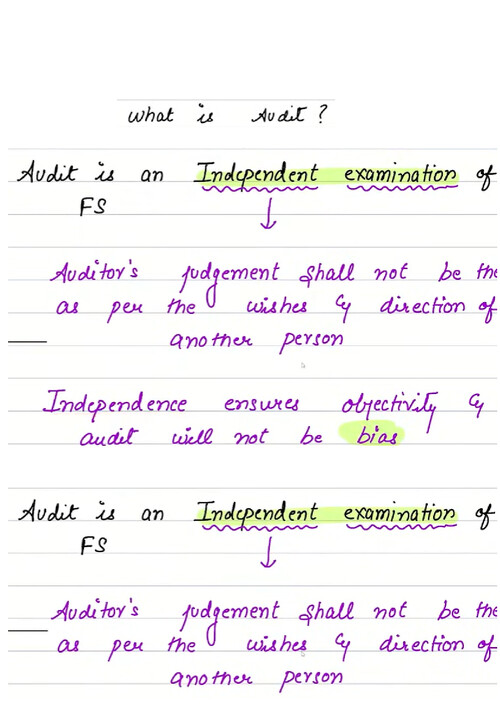 Ca inter audit chapter 1 Handwritten Notes 