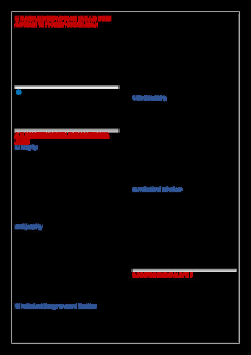 ETHICS AND TERMS OF AUDIT ENGAGEMENT
